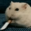 binbomelon