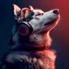 wolf_oficial_2025_2