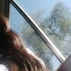 rossa_d8