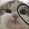 tiktok.comdragon3