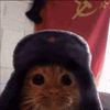 come.cat