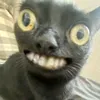 ren_tiktok57