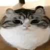urh4t3
