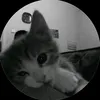 thsan_04