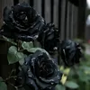 songchamlai56