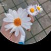 user17560024354404