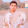 babor_goat_farm