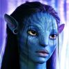 dreamerspice9339