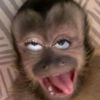 whuppwaaw