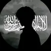 user4493391351353