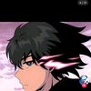 hanss2_
