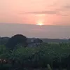 cantrinh85