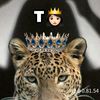 thun.danel