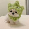 Funny dog-7