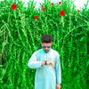 haseeb45yi