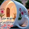 user8463767565134