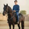 hashar.manj2124