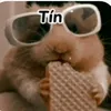 tin_208