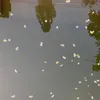 anhhafhdwxa
