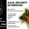 allandookhoo29