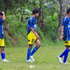 farhat_camat66