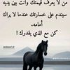 user2629905302522