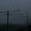 fortunalzxwss