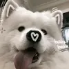 chan1nan