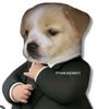 pepitoxd_2016