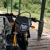 aam41695