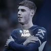 zm_amp