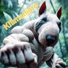 kilimanjaro272