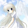 sazziv7w5q