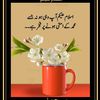 user75486306131234