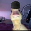 birdydabirb