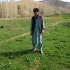alim.ahmadi7