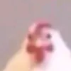 mustafajameel84