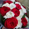 darb_ya9in