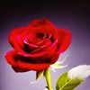 user1240183070025