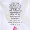 talya_nagdi