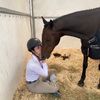 evas.ponies.eq