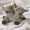 exeskaaas