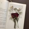 faridaid0