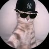 dayron_t3