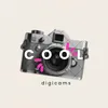 cool digicams