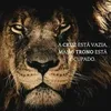 felipe.padilha969