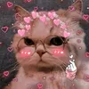 mbar_asmr
