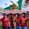 FansRojiblancos1