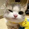 likaleciousos