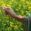 taslimabegum4